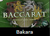 Bakara casino oyunu